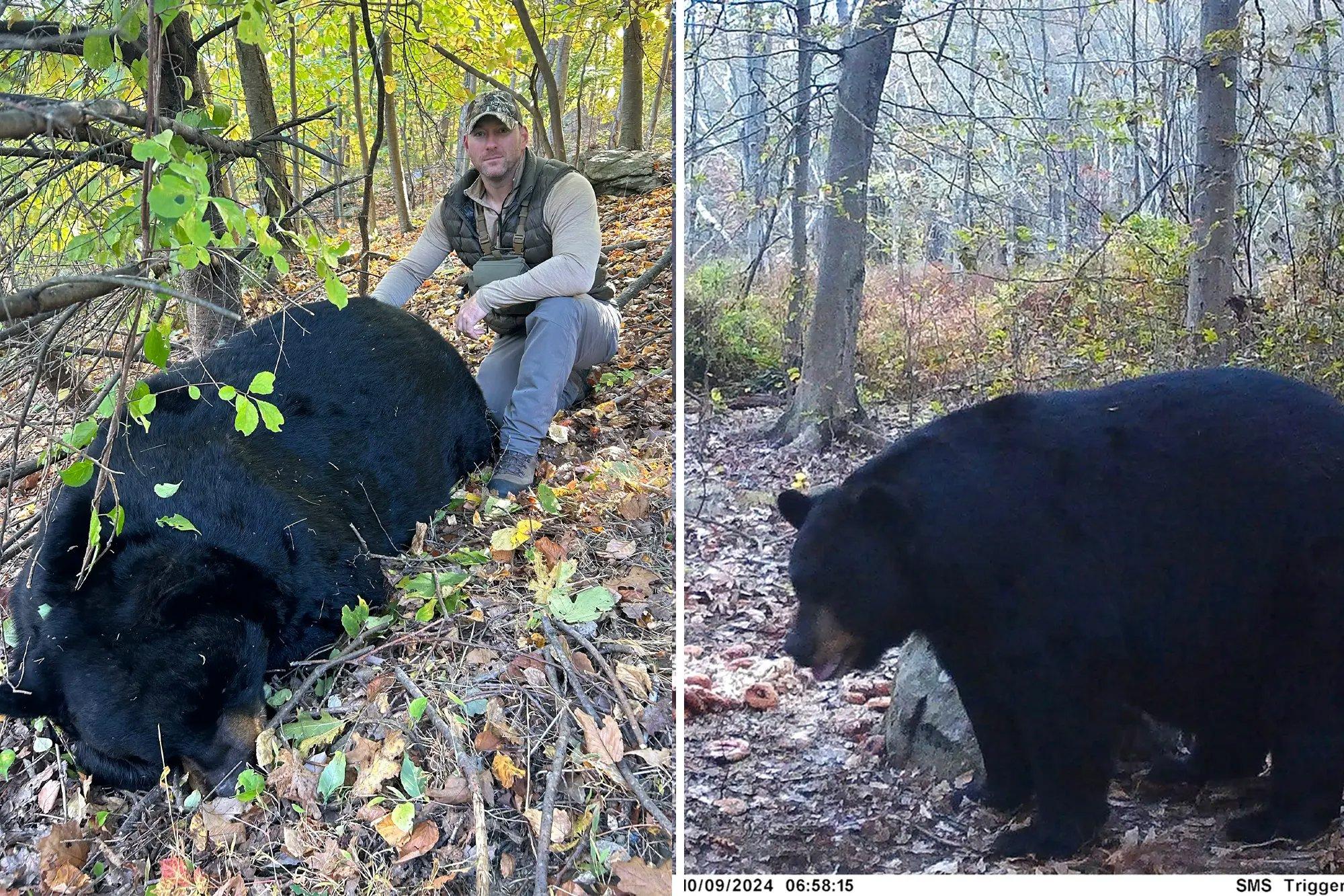 A New Jersey bow hunter established a new state record on Tuesday morning by harvesting a 770-pound black bear in Morris County.