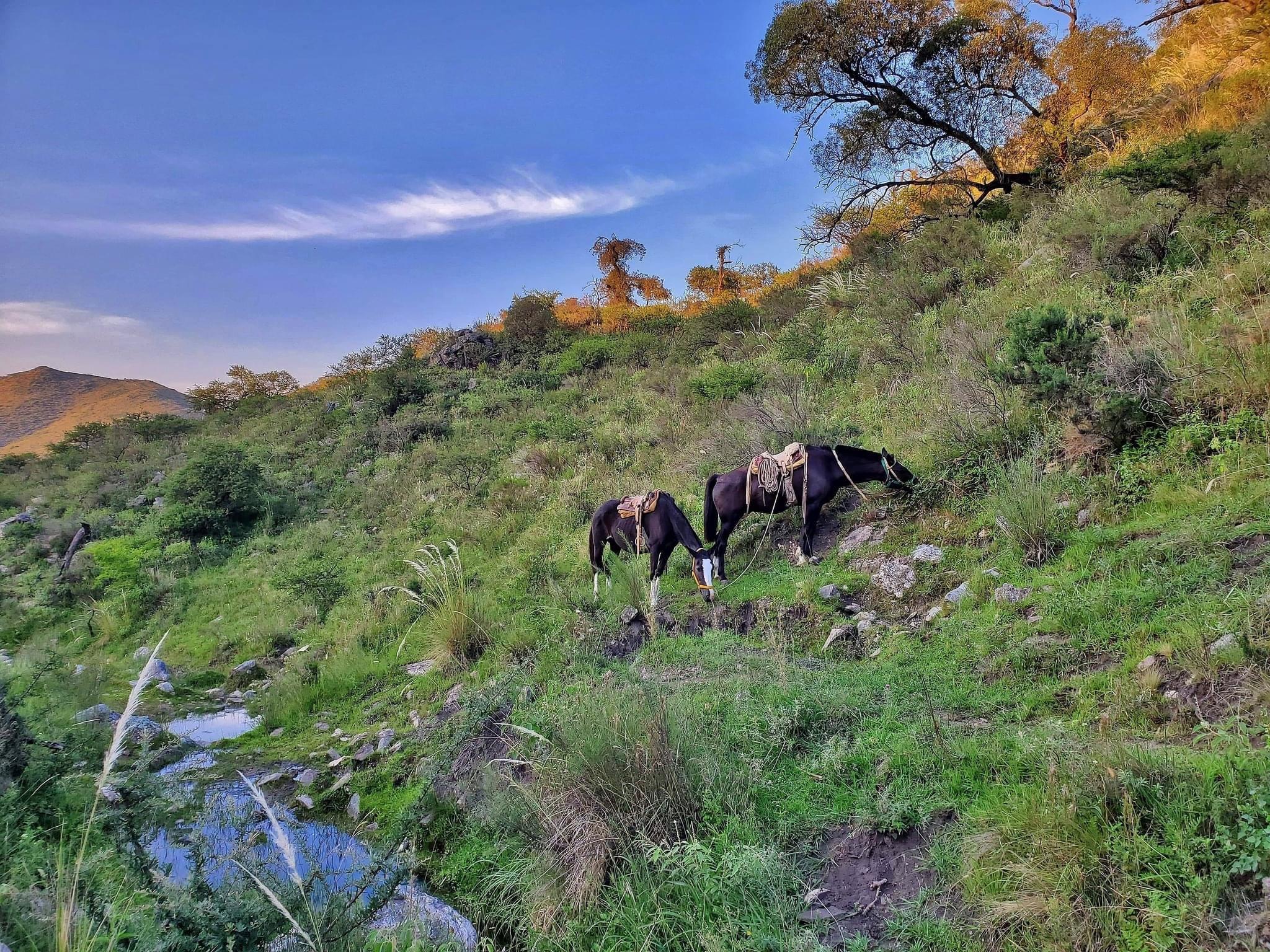 The most beautiful place for Red Deer and Water Buffalo hunt, thick scrub and streams accompany the mountainous landscape of this area.