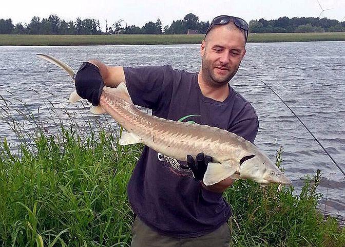 🐟 THE BEST FISHING PLACES IN GERMANY: SACHSEN-ANHALT – ELBE