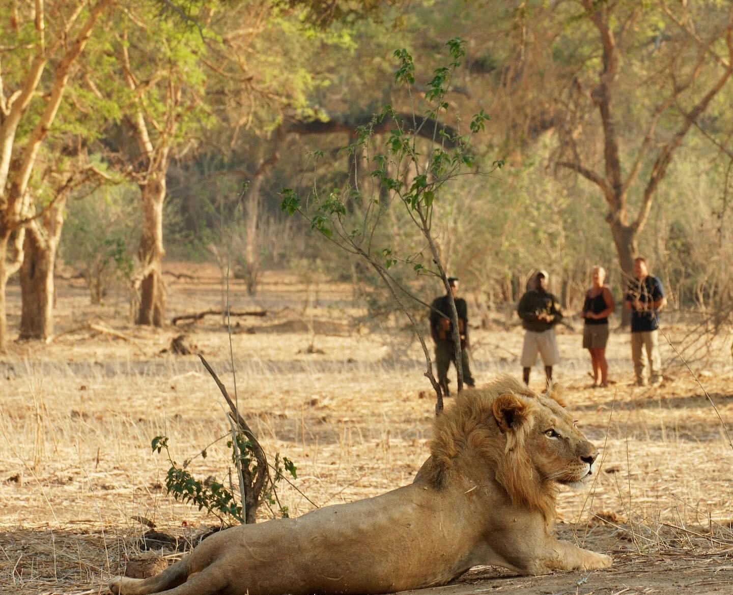 Africa’s favourite bushcamp, as voted by the readers of #travelafricamagazine.