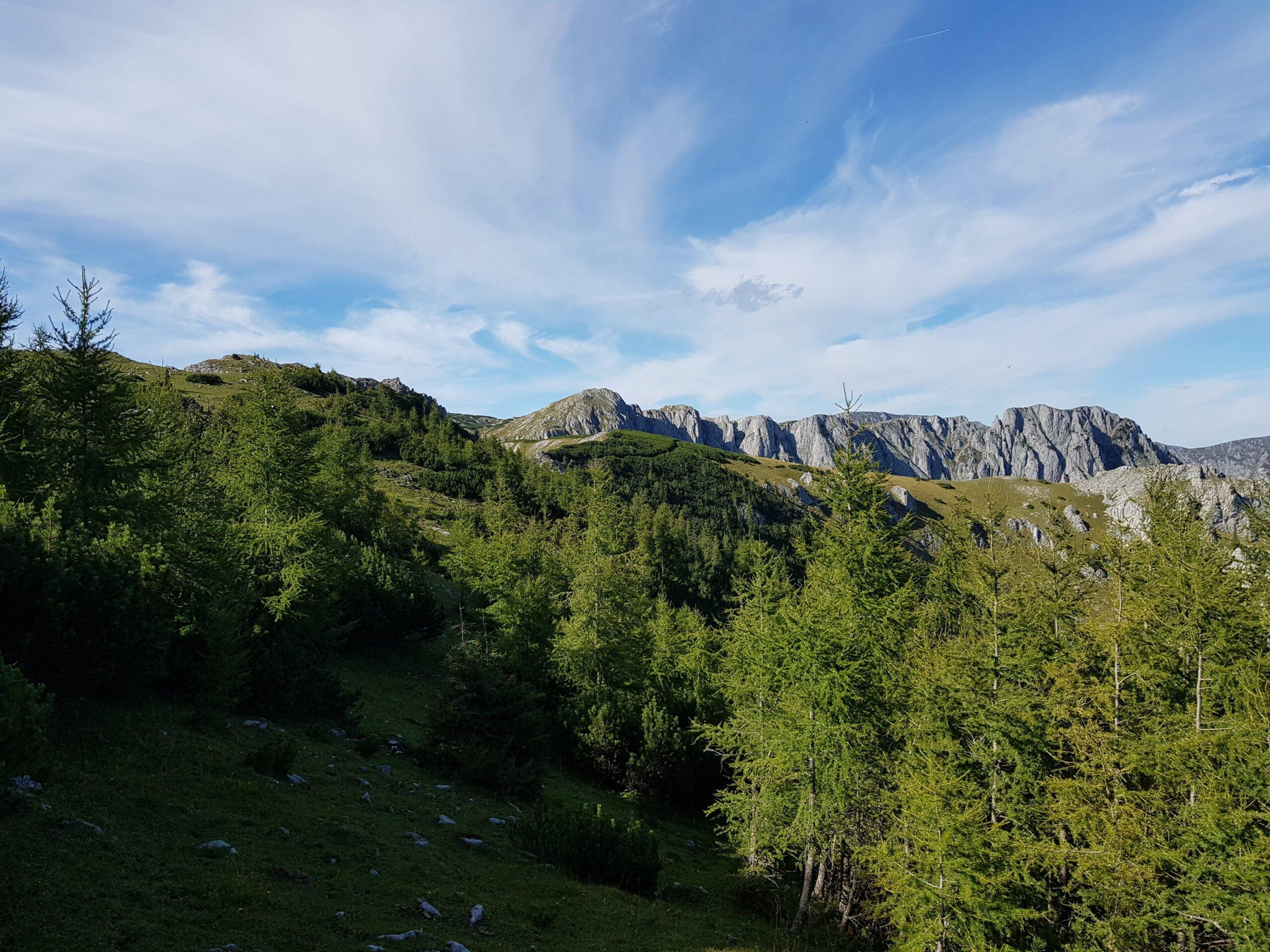 Die Jagd im Bezirk Hartberg-Fürstenfeld: Jägerschaft, jagdbare Arten, Geographie, Jagdmethoden, Rahmenbedingungen, Zeiträume, Jagdverbände, Jagdgepflogenheiten, Details  