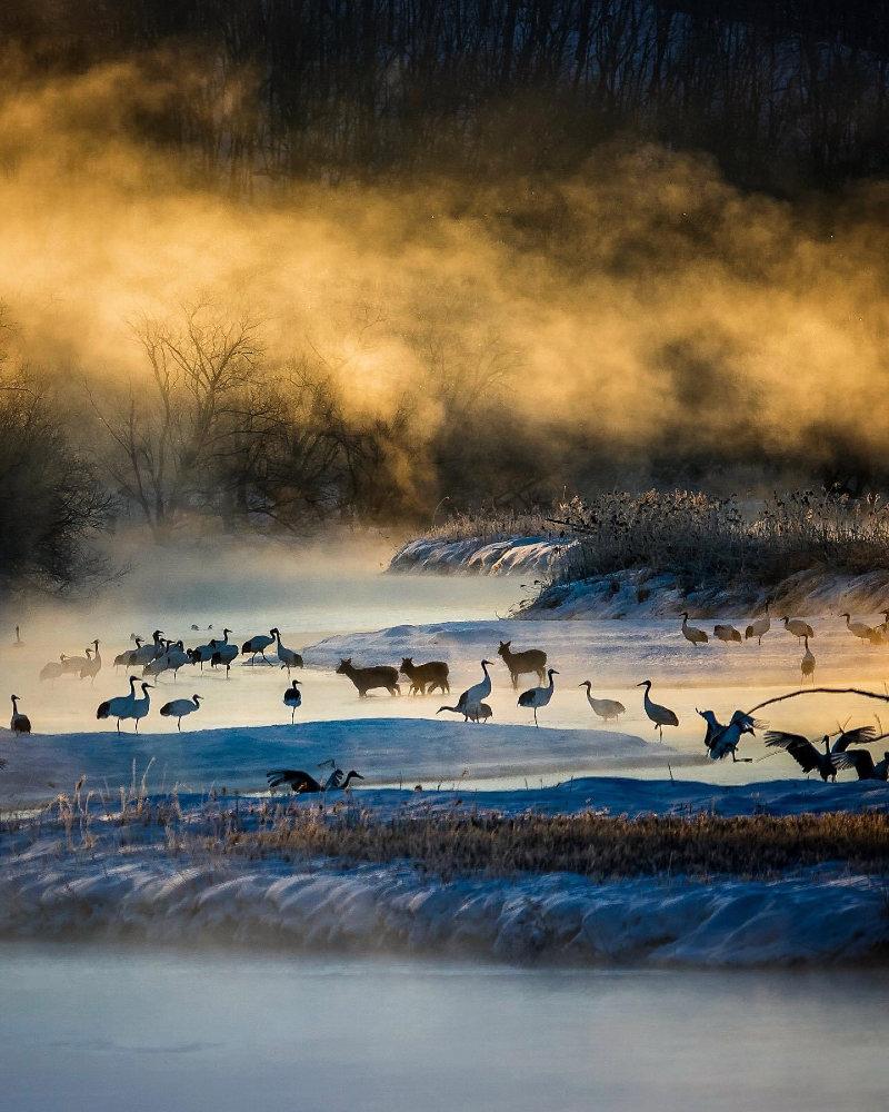 The most incredible atmosphere on our first morning at Otowa Bridge on Hokkaido.