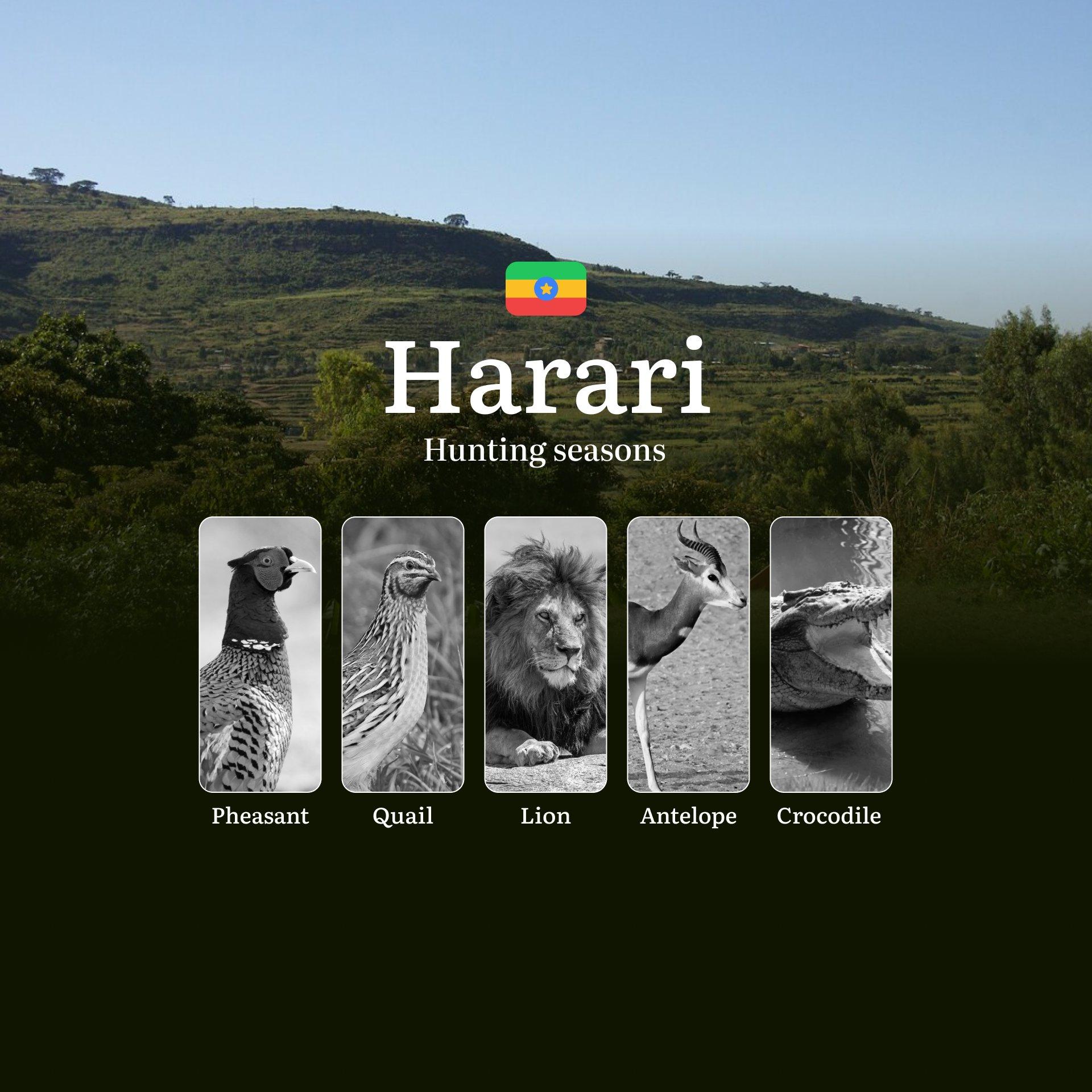 Hunting Seasons in the HARARI Region, Ethiopia: Regulations, Permits, and Time for Hunting, Documents and Organizations