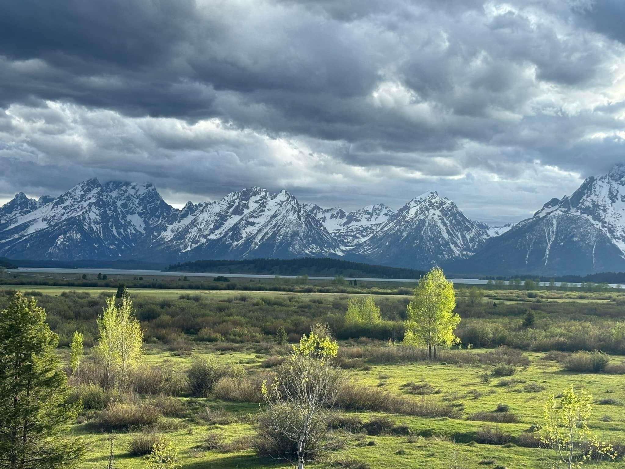 A few pictures from our last week’s trip to Grand Teton and Yellowstone
