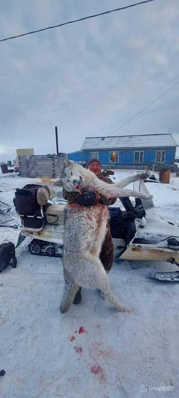 Такой укусит за бочок😅