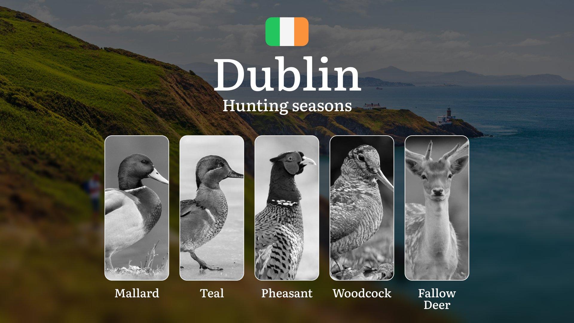Dublin's Calendar Unveiled: Hunting Seasons, Legal Windows, and the Art of Perfect Timing in DUBLIN