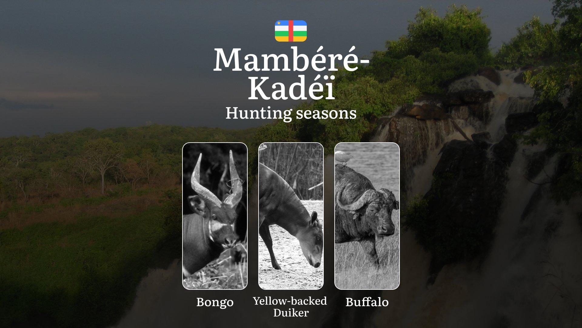 Hunting Through the Seasons in Mambéré-Kadéï: Rules, Permits & Cultural Events and Traditions