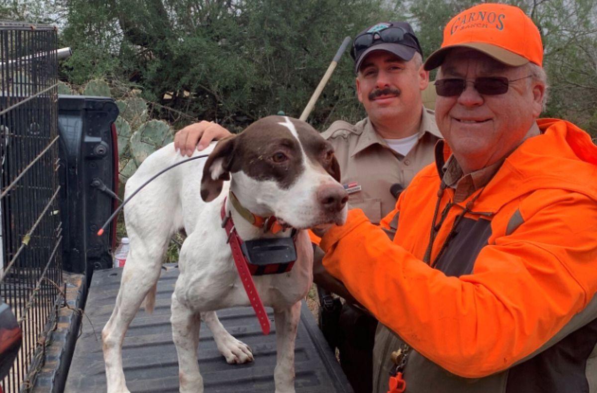 Hunting dog survives 50-foot fall into well, rescued by Texas game wardens