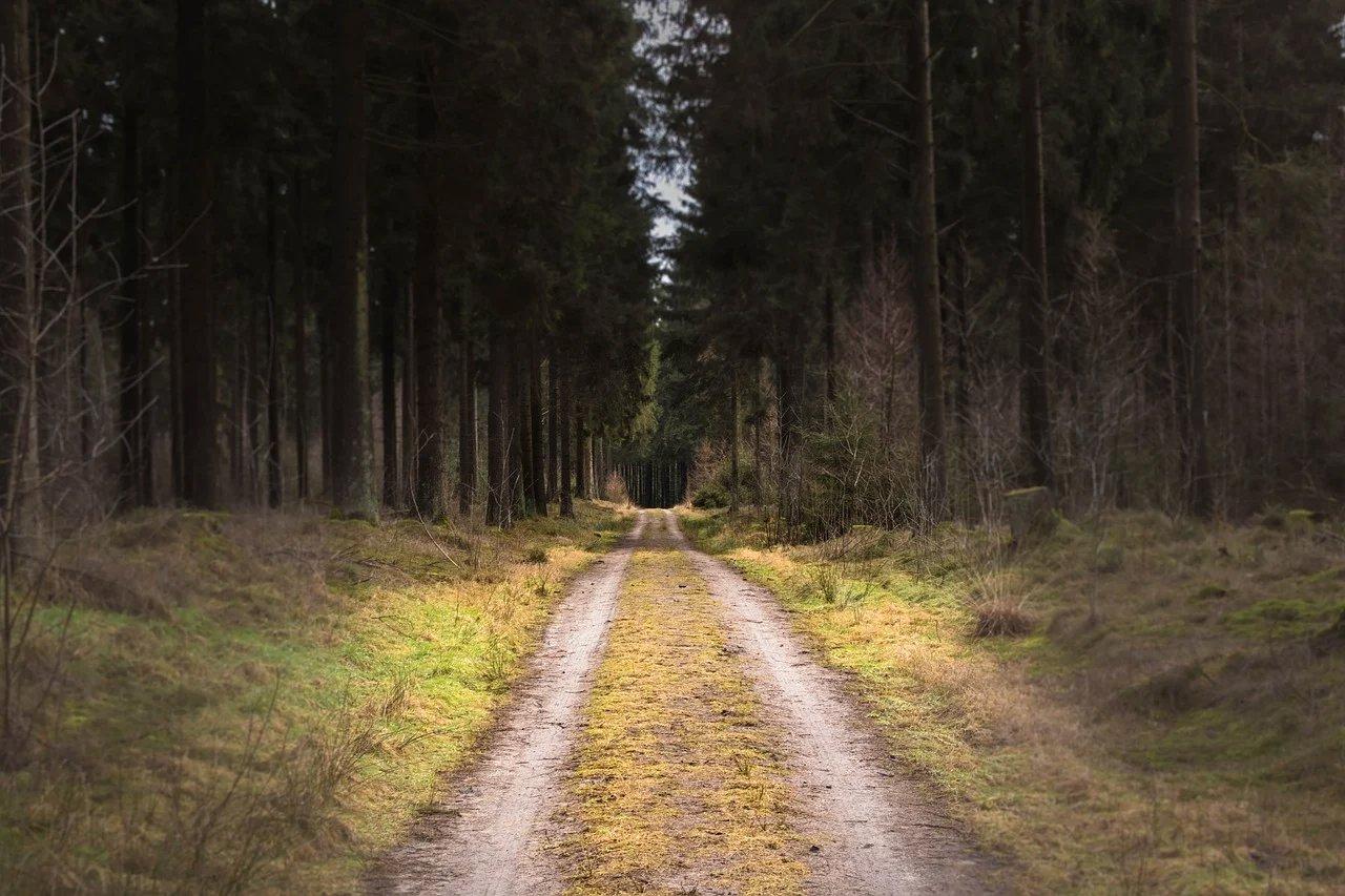They say an open road helps you think.