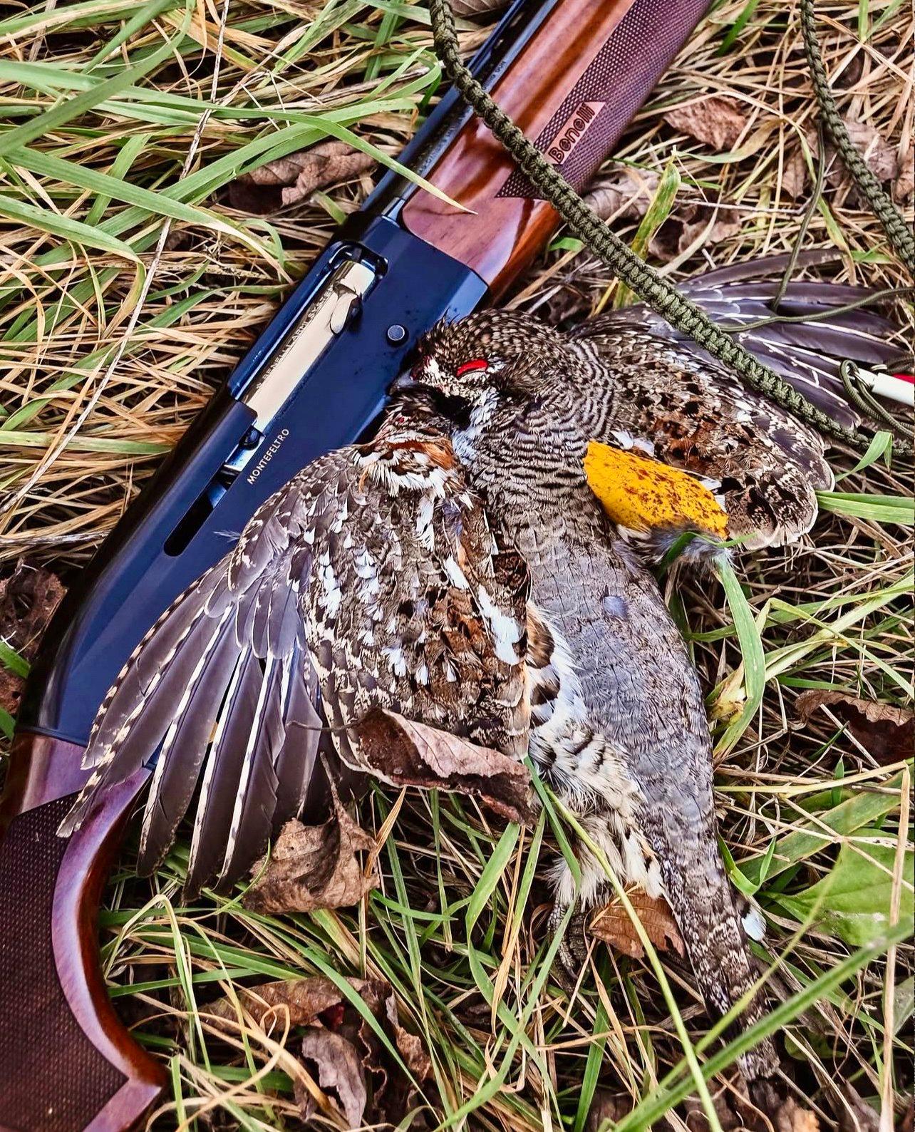 Benelli Montefeltro Review: Calibers, Models,  Pros and Cons.
