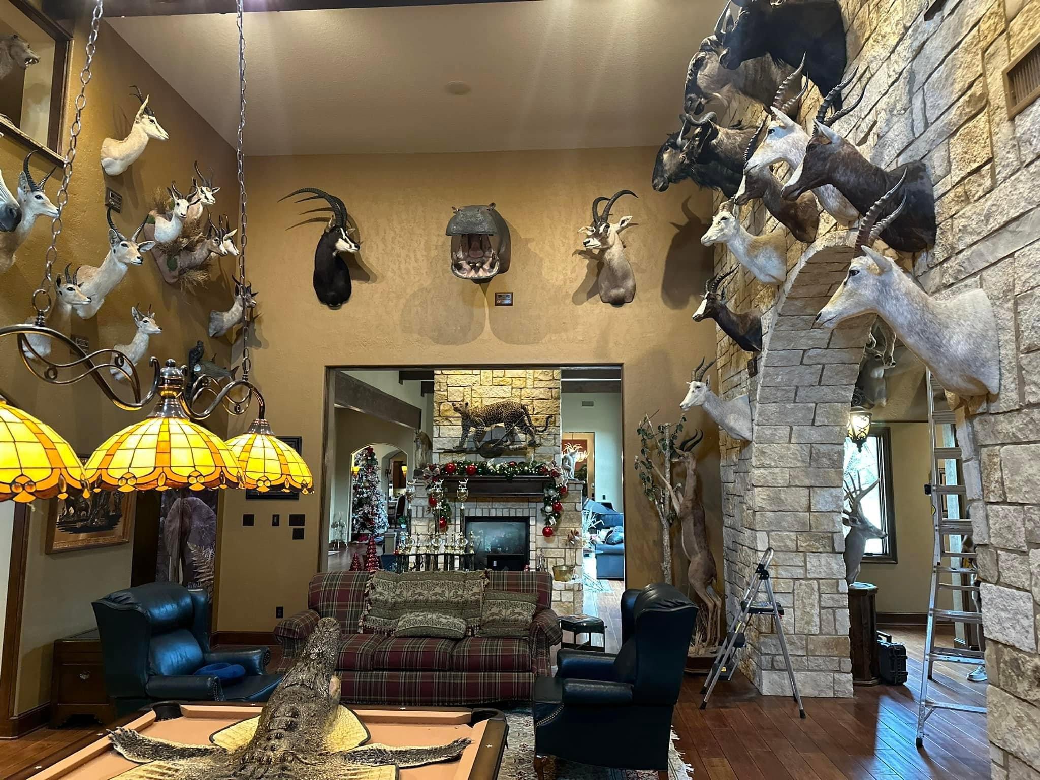New trophy room additions!!