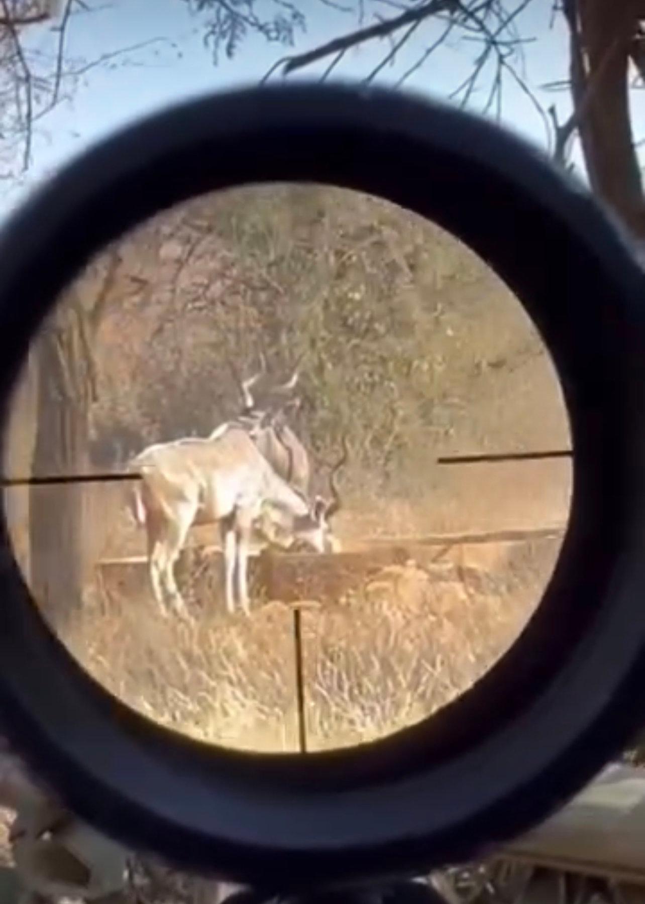 The Ultimate Guide to Hunting in Africa: An Adventure of a Lifetime