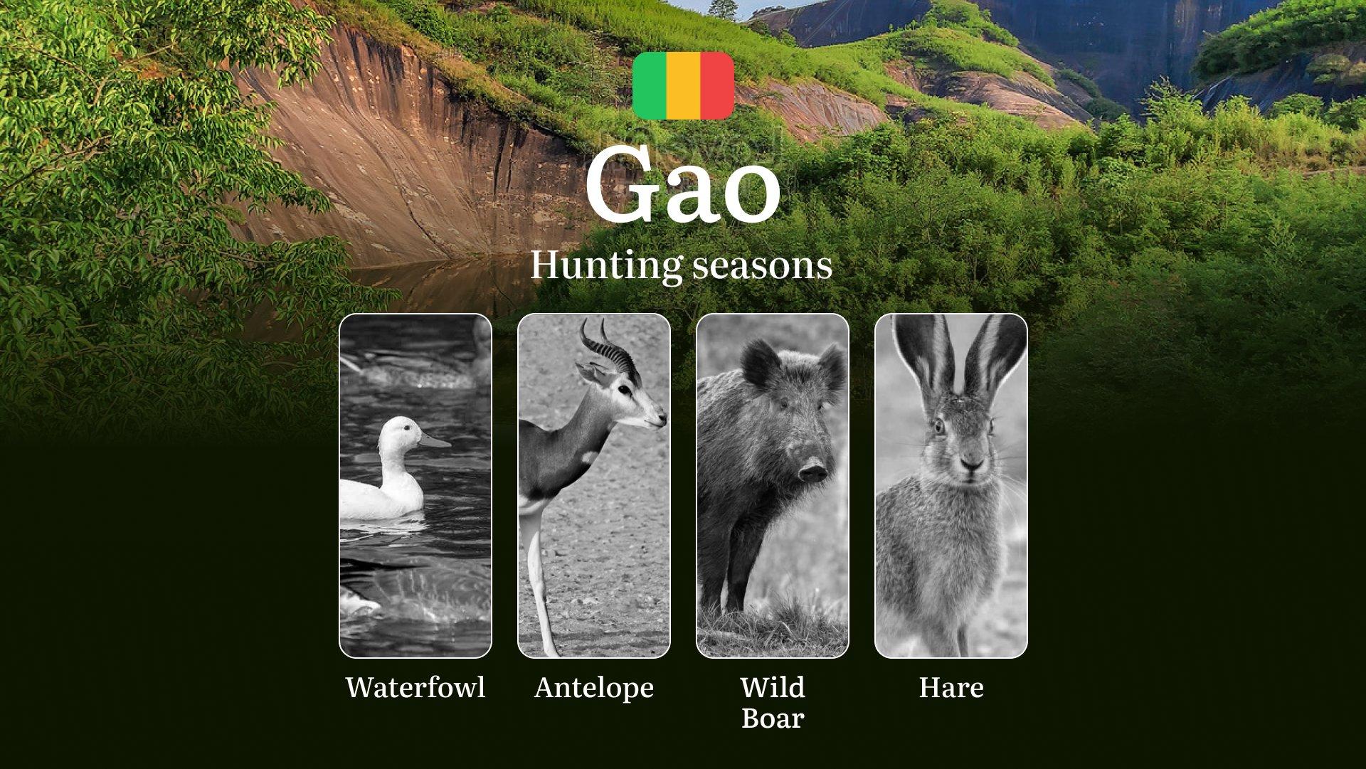 Gao: Official Hunting Periods, Legal Limits and Seasonal Bans, Licensing Requirements, Fines and Legal Consequences of Non-Compliance, Strategic Planning, Timing, Equipment