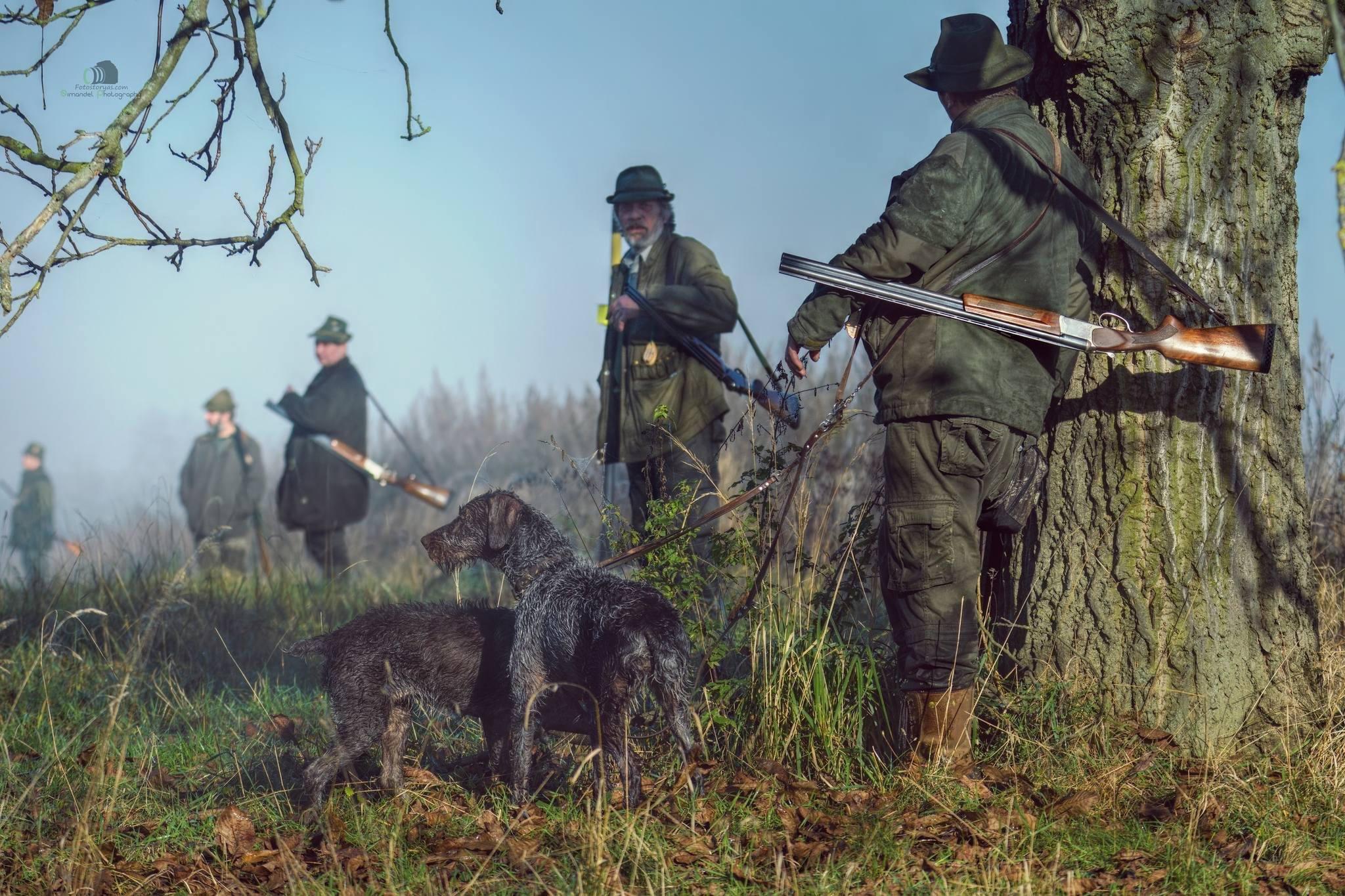 Pheasant hunting with the German ( 🐾GSP🐾)
