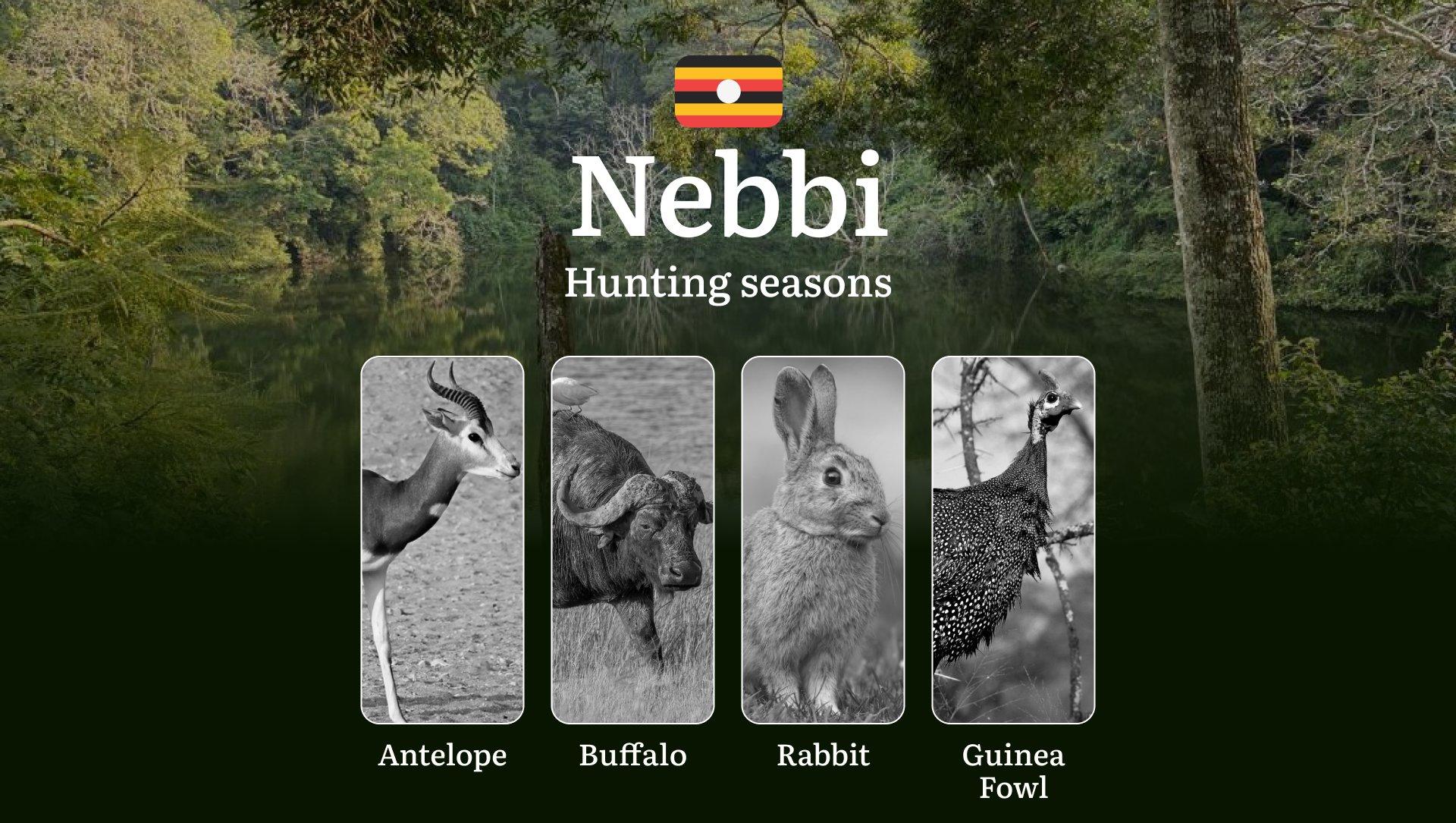 Hunting Date Ranges in Nebbi: Hunting Periods, Legal Limits and Seasonal Bans, Licensing Rules, Fines and Consequences, Strategic Planning, Timing, Equipment