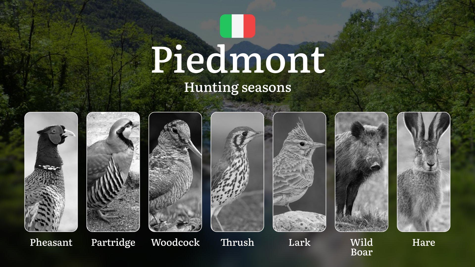 Piedmont Hunting Calendar: Elevation-Based Season Dates and Western Alps Trophy Tips