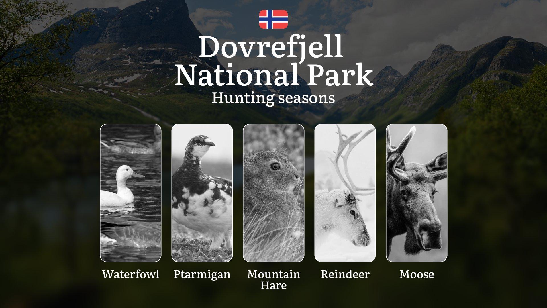 Hunting Dates in Dovrefjell National Park: Seasonality of Hunting, Timing and Regulations, Hunting Permits, Restrictions and Prohibitions