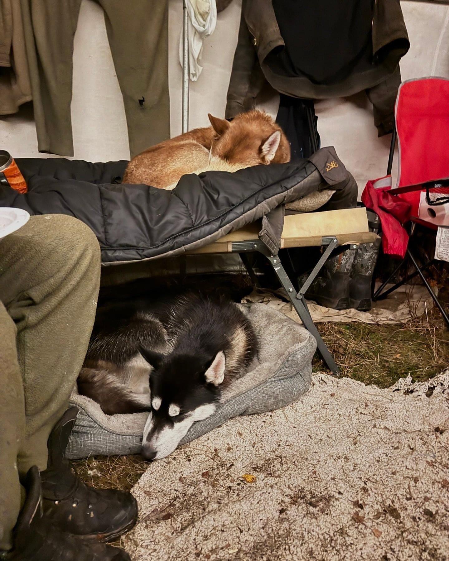 moose camp things.