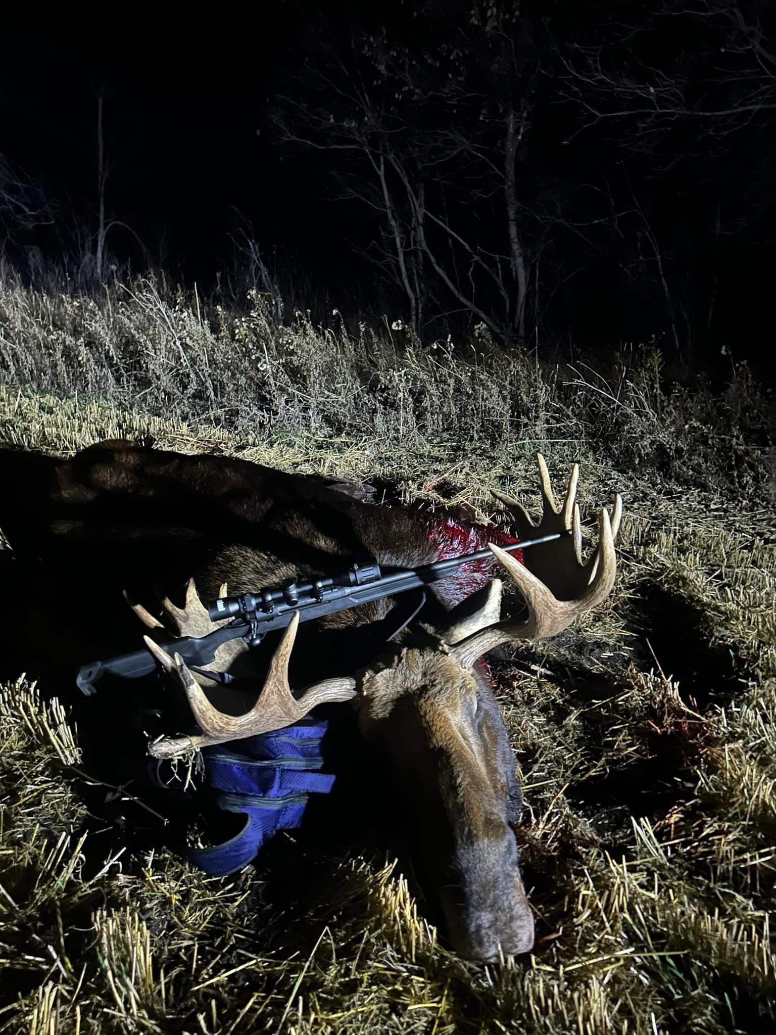 First moose of the season