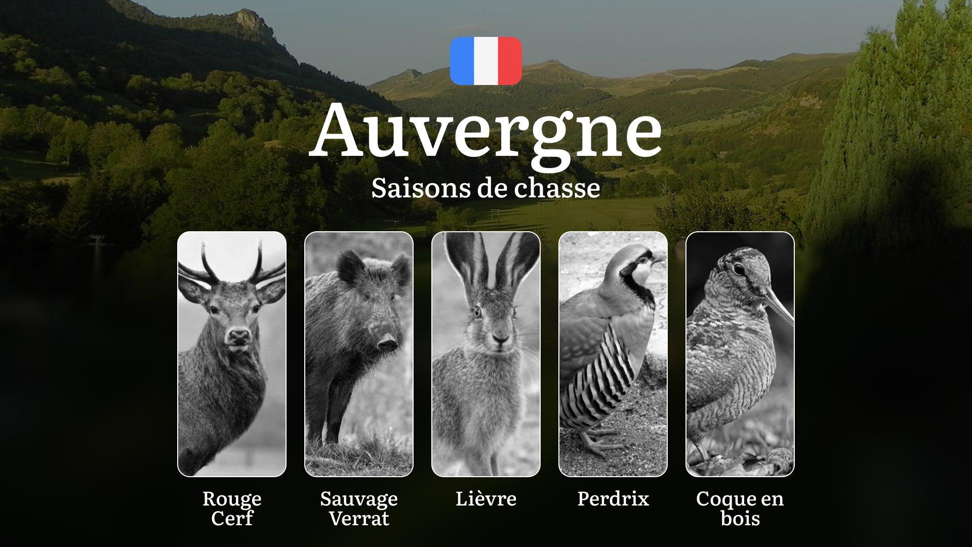 Saisons de Chasse en AUVERGNE: Calendrier Détaillé,  Interdictions, Obtention des Permis, Meilleures Périodes et Techniques de Chasse 