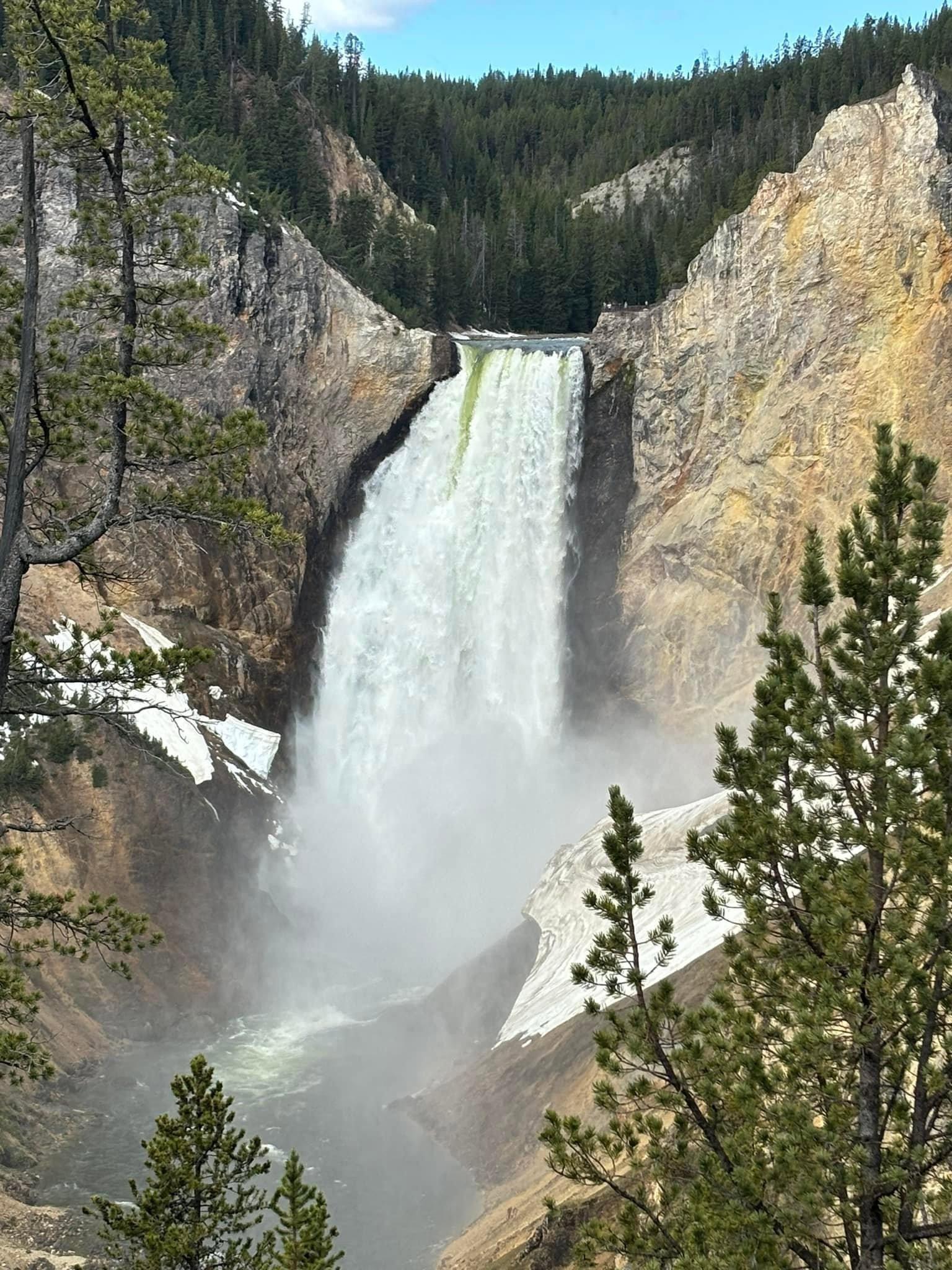 A few pictures from our last week’s trip to Grand Teton and Yellowstone