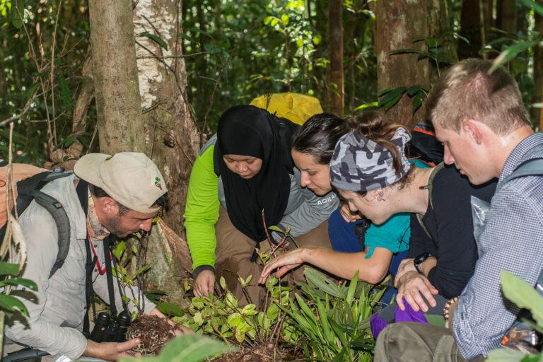 New ‘snug,’ a snail with a too-small shell, described from Brunei rainforest