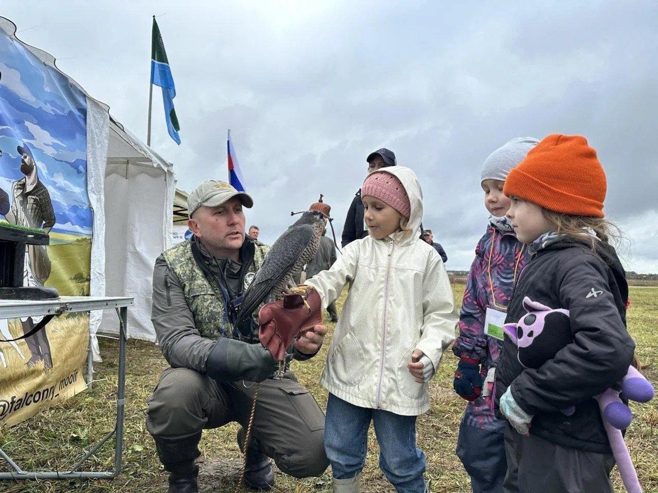 Соревнования ловчих птиц впервые провели в Можайске