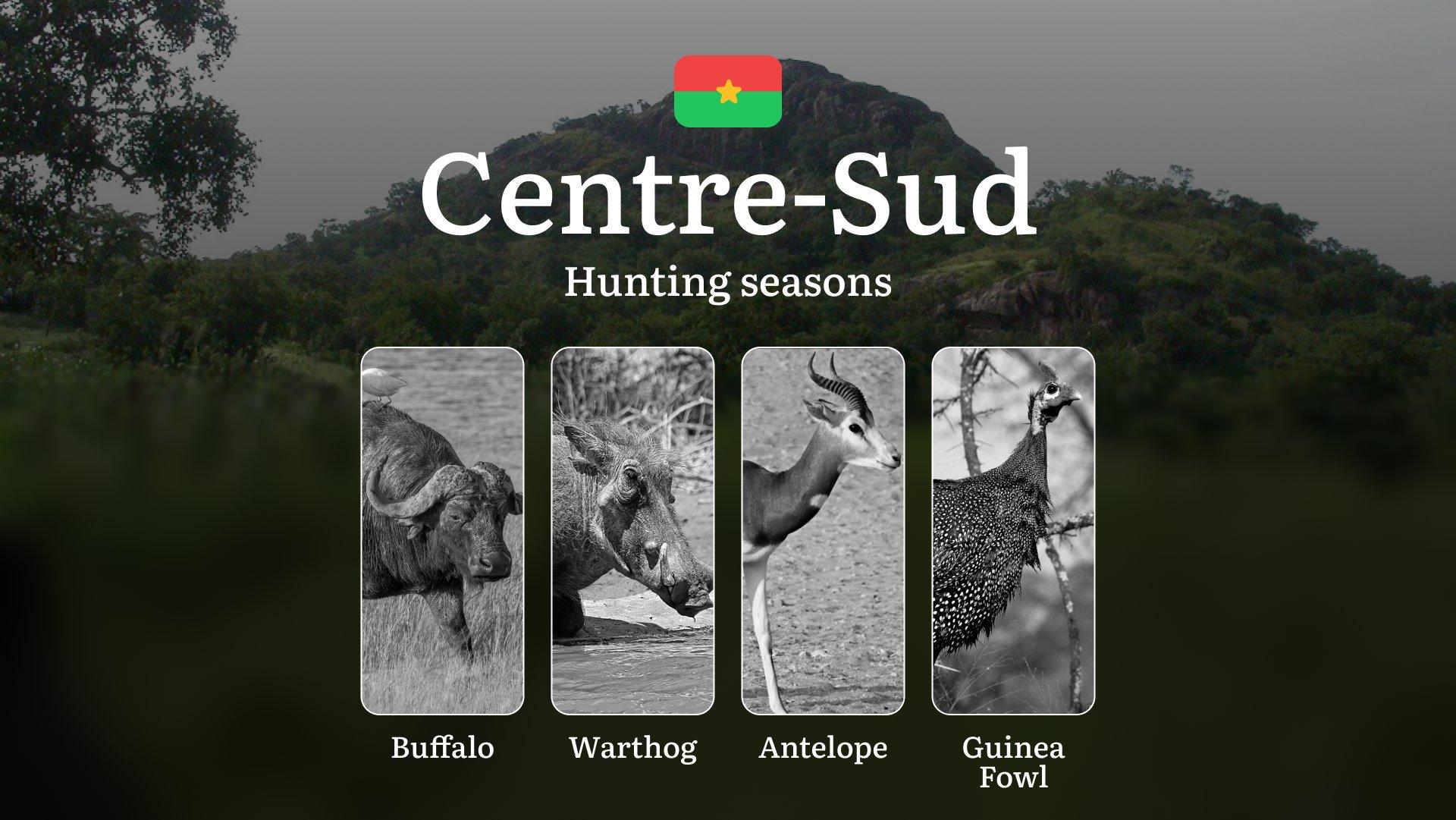 Hunting Seasons in CENTRE-SUD: Legal Requirements, Restrictions, Protected Species General Hunting Rules, Penalties for Violations, Optimal Hunting Periods and Game Behavior