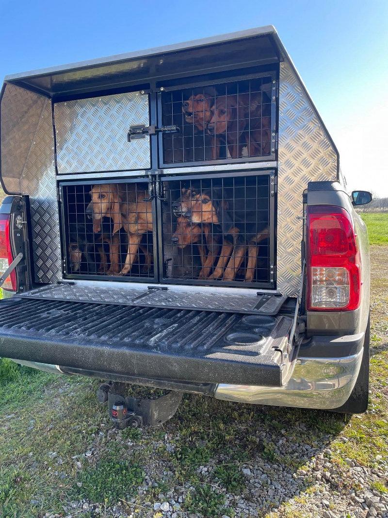 Voilà les chiens ont trouvé leur place dans l allier 03 dans leur nouvelle Caisse a chiens Sébastien Dournes  