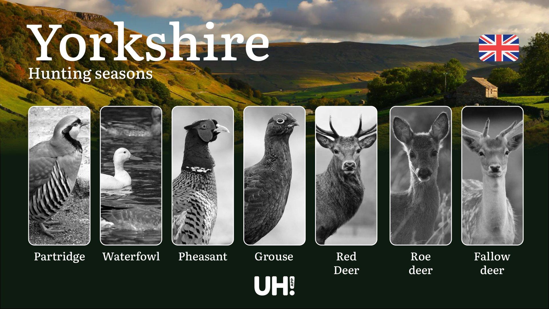 Hunting Seasons and Regulations in Yorkshire: Seasonal Patterns and Game Activity, How to Obtain a Hunting License in the Region 
