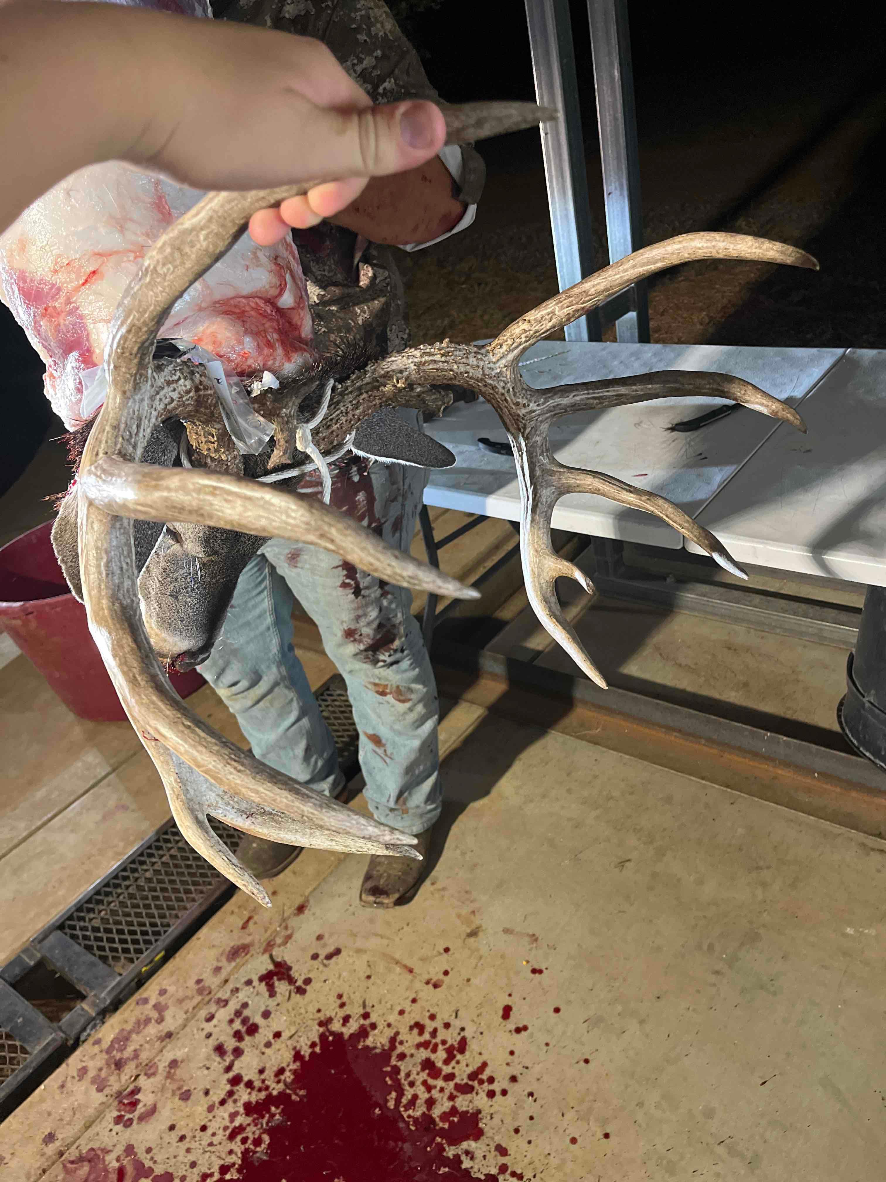 Client just bagged a monster!!!
