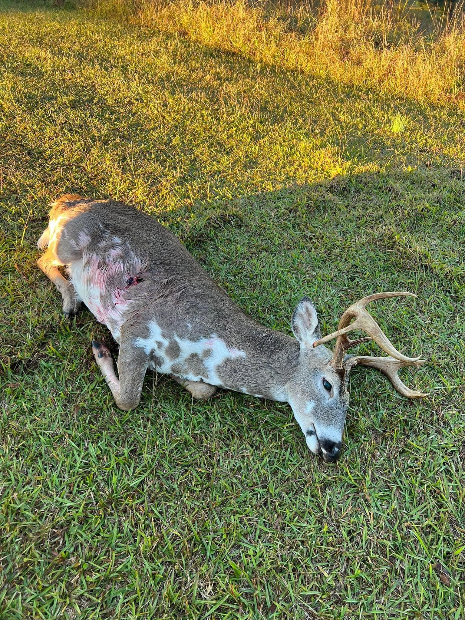 I wanted to share this buck of a lifetime i shot this past saturday.