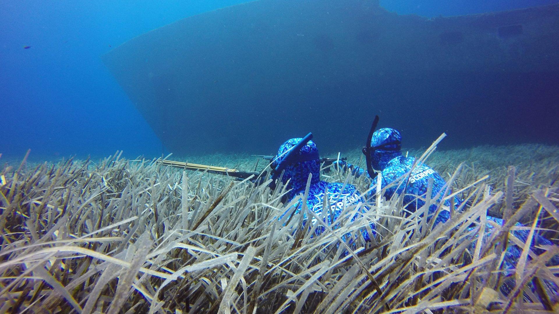 How Can I Hunt Safely in the water?