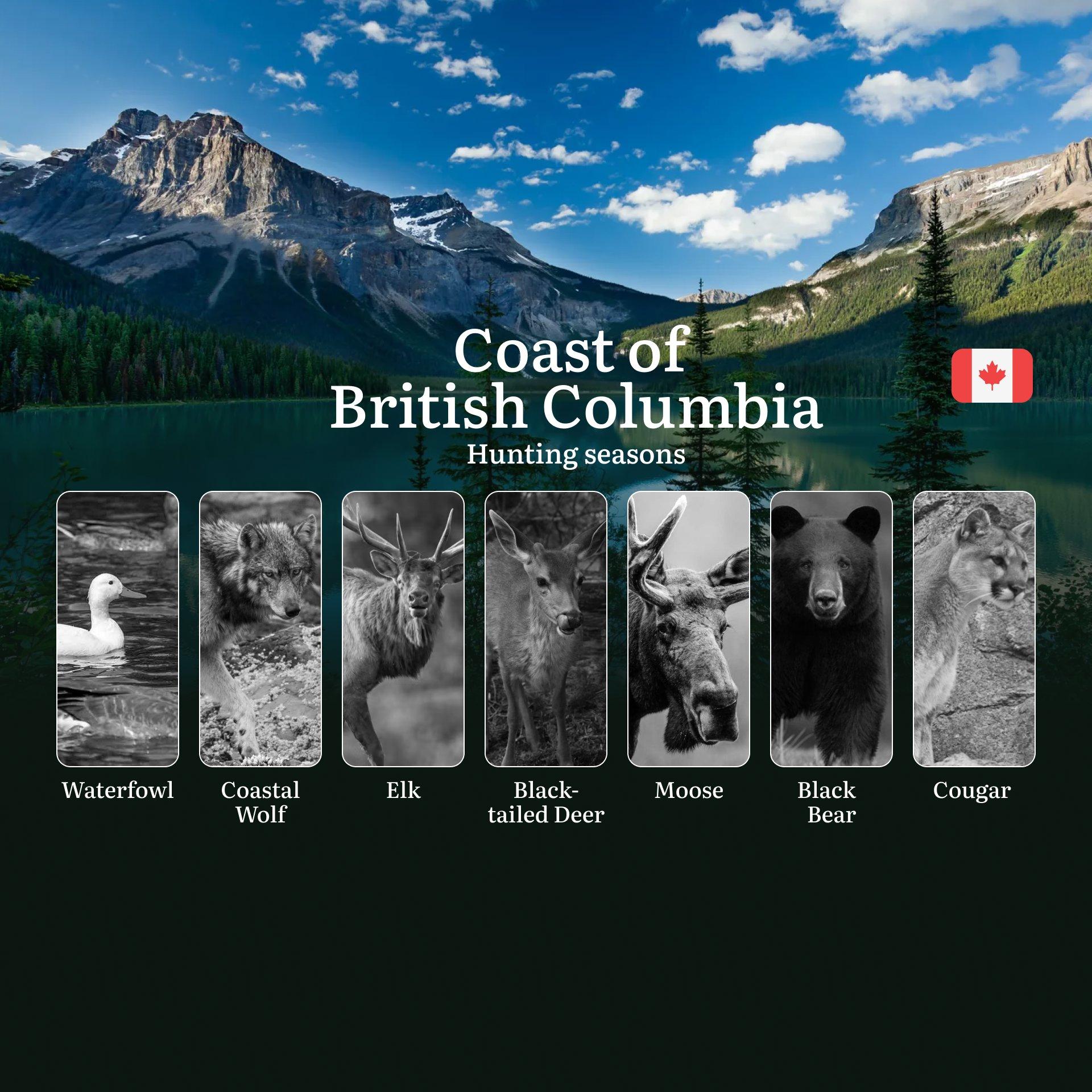 BC NORTHERN COAST Hunting Seasons: Opening and Closing Dates, Required Licenses and Key Rules 