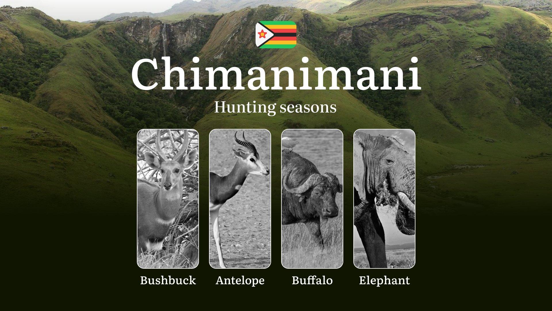 Hunting Dates in CHIMANIMANI, Zimbabwe: Hunting Periods, Bans and Restrictions, Licenses, Rules, Tips for Hunters