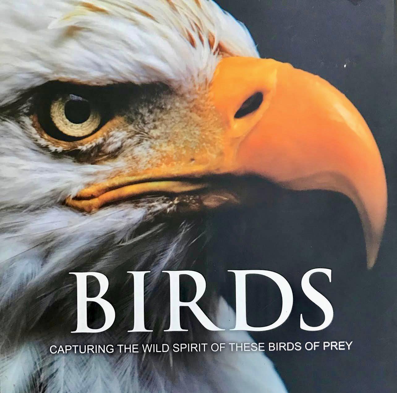 Falconry Books and Documentaries — Essential Reads, History, and Must-Watch Films for Hunters and Falconers