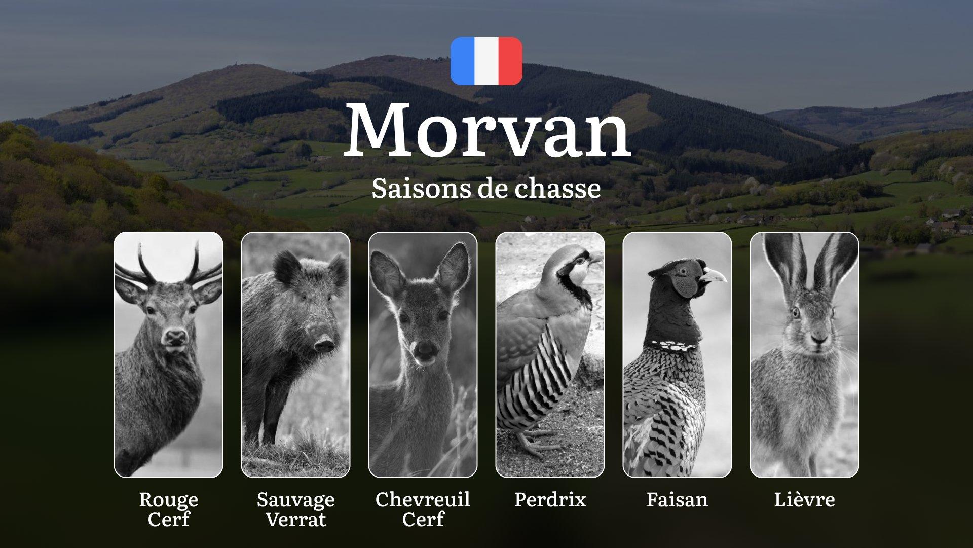 Saisons de сhasse dans le MORVAN: Réglementation générale, Meilleures Périodes par Type de Gibier, Obtention des permis de chasse et Conseils Pratiques