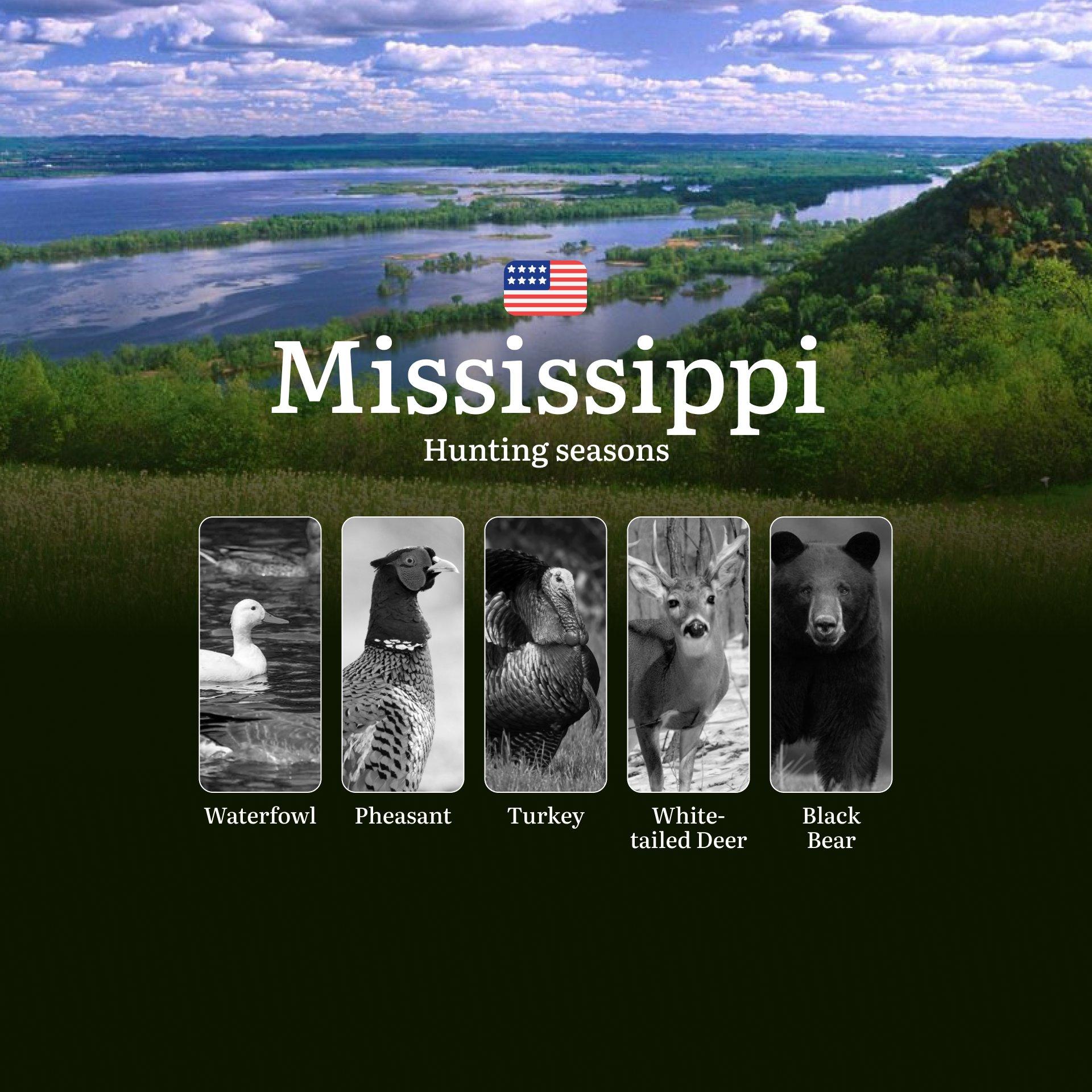 Hunting Seasons in Mississippi: Diversity, Features, and the Best Time to Hunt, Prohibitions and Restrictions, Tips for Choosing Time, Location, and Hunting Tactics 