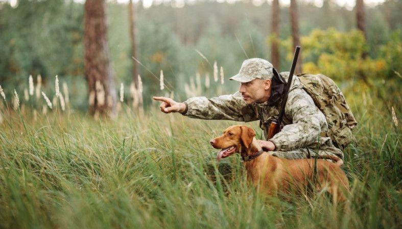 Охота и рыбалка в мае: что разрешено, на что действует запрет