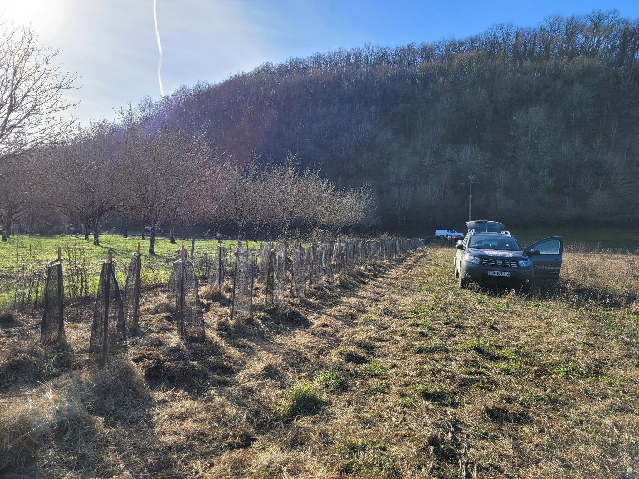 La semaine dernière, deux nouvelles haies ont vu le jour, à Condat sur Vézère et à Montpon (limite Eygurande et Gardedeuil).