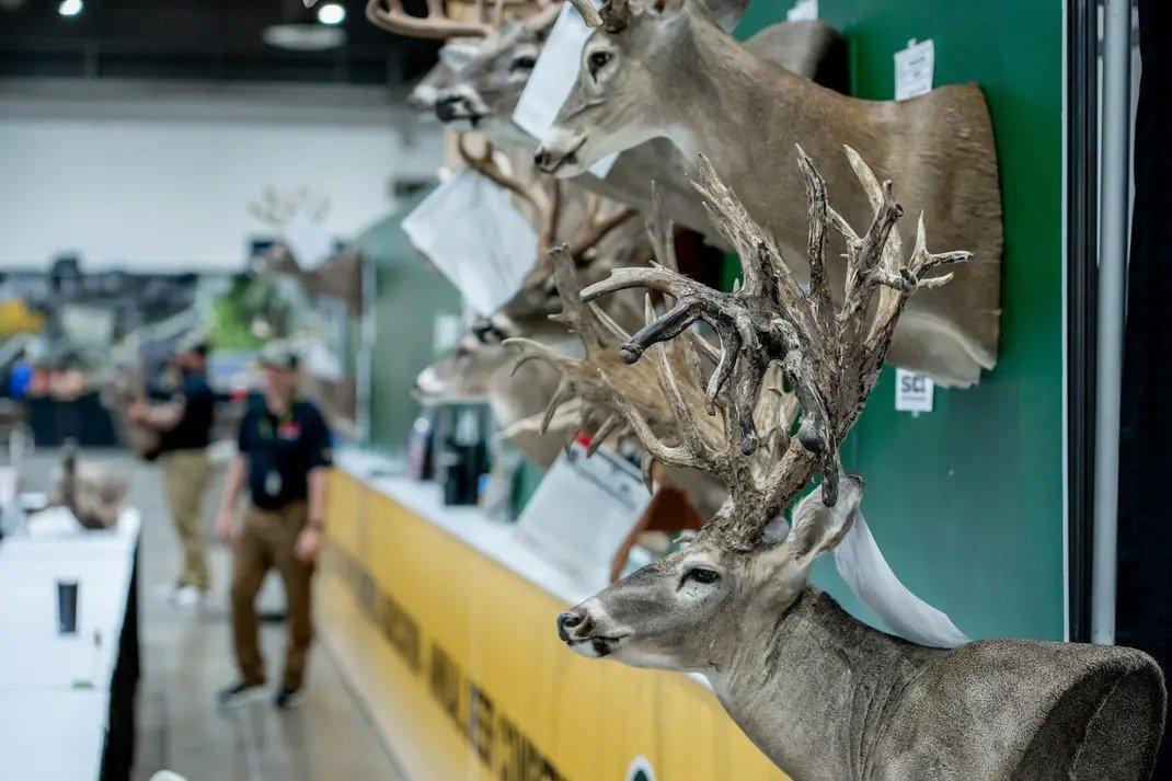 Hunters Extravaganza Houston 2025 – from August 1–3, 2025, at NRG Center Hall A, Texas Trophy Hunters Association (TTHA)