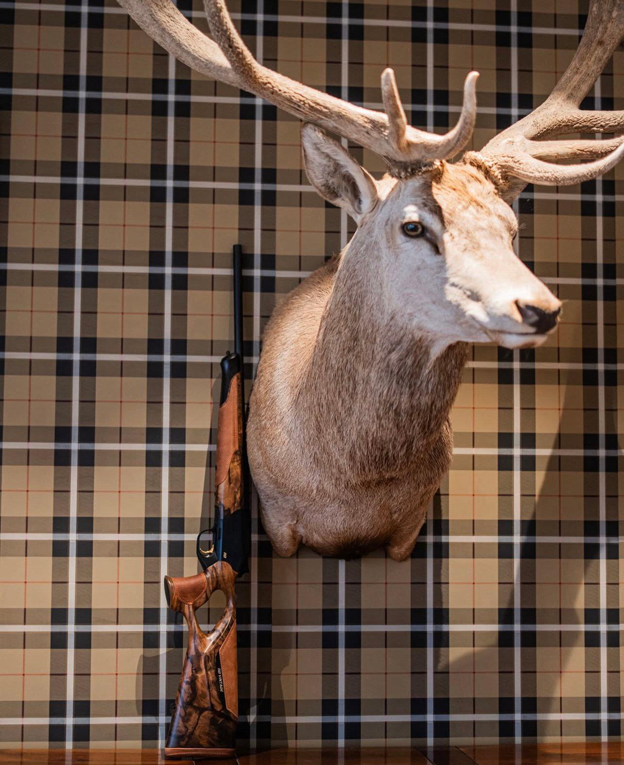 Blaser R8 Success Vintage Review: Design, Calibers,  Configurations, Price, Pros and Cons.