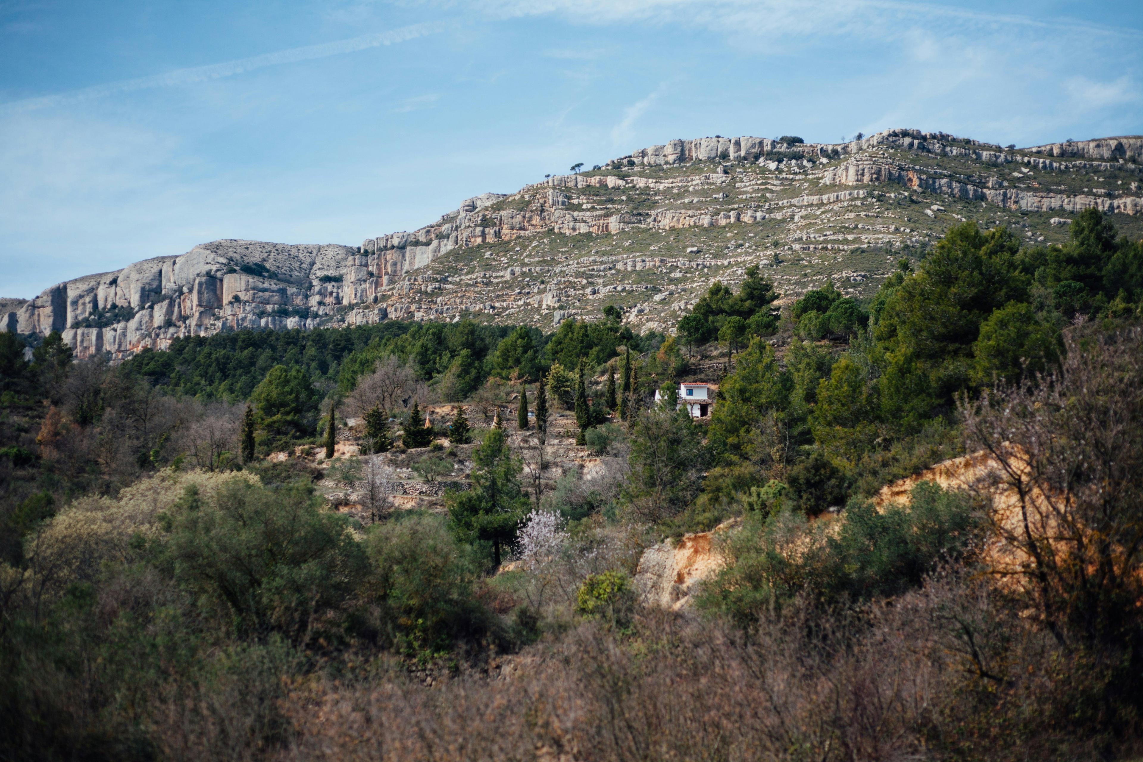 Caza en la Comunidad Valenciana: Desde el Interior Montañoso hasta la Costa, Caza Regulada y Fincas para Todas las Modalidades