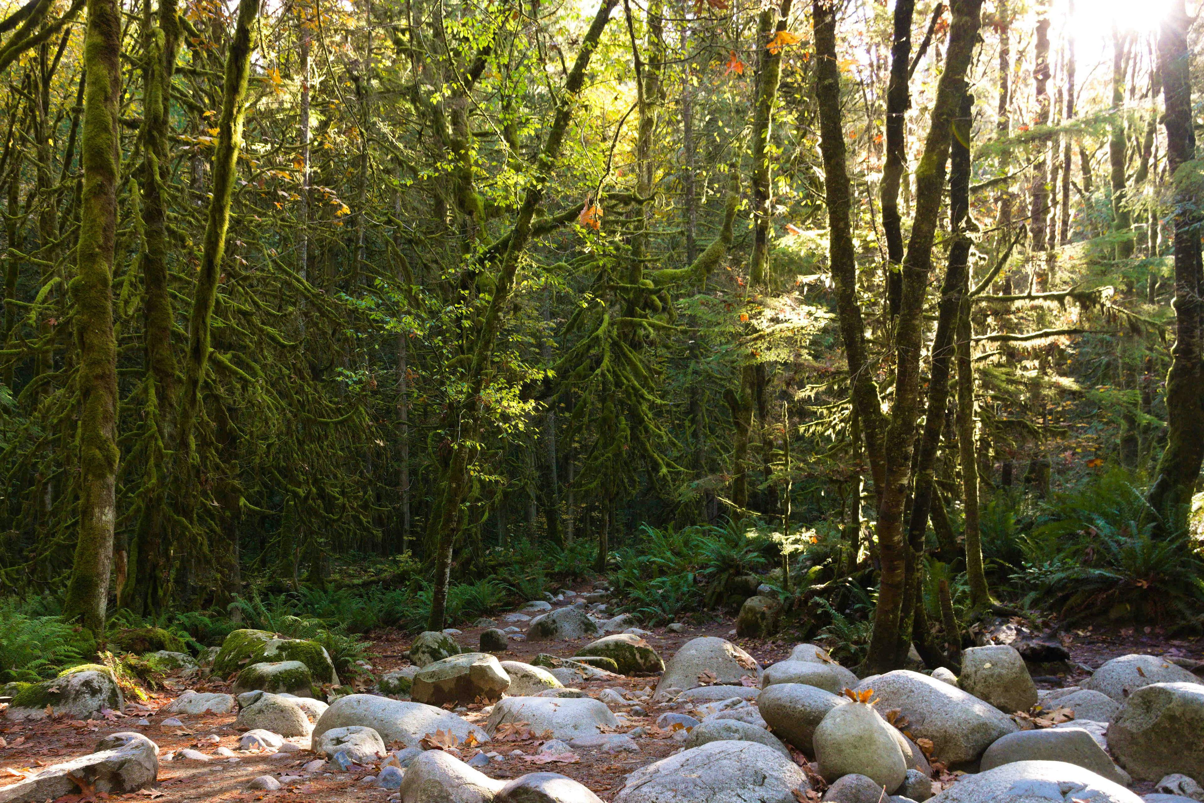 Hunting in the BC NORTHERN COAST Region: Understanding Demographics and Legislation of the Region, Associations and Clubs, Laws and Hunting Seasons