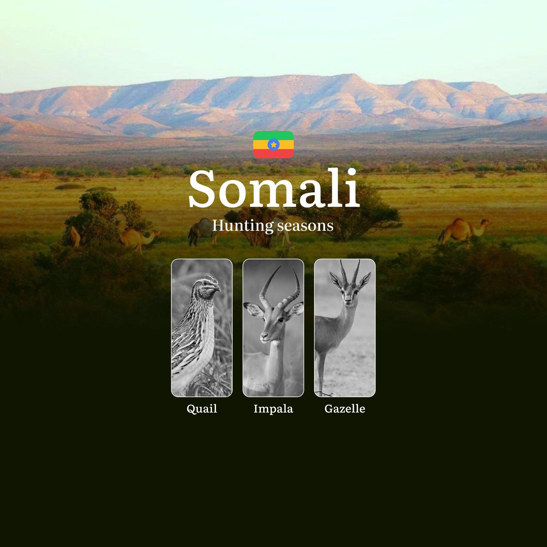 Ethiopia’s SOMALI Region: Hunting Seasons, Hunting Permits, Tips for Planning Your Hunt, Bans, Restrictions and Regulations