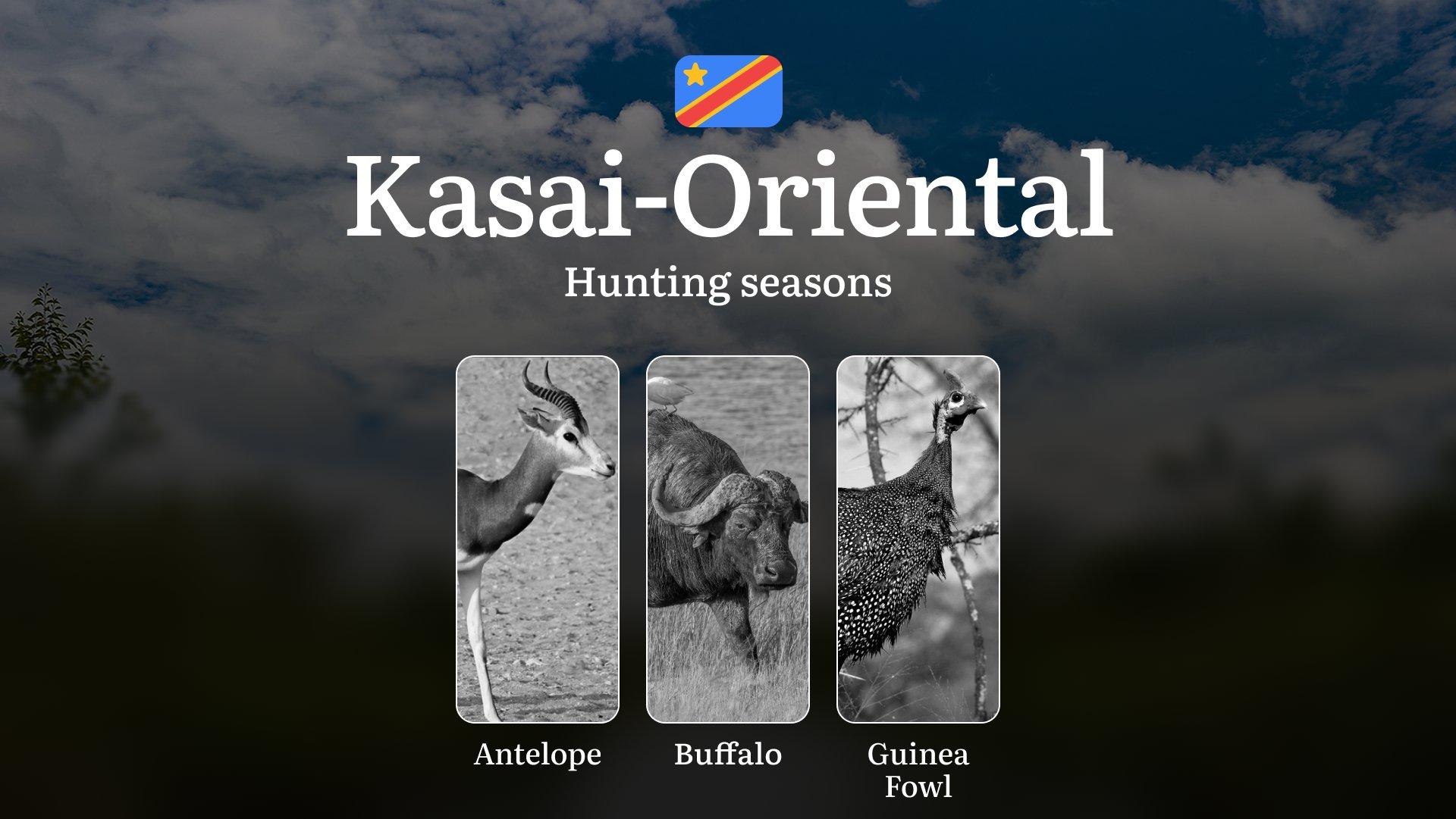 Kasaï-Oriental: Hunting Seasons and Timing, Species Restrictions, Licensing Requirements, Strategic Advice on Timing and Equipment 