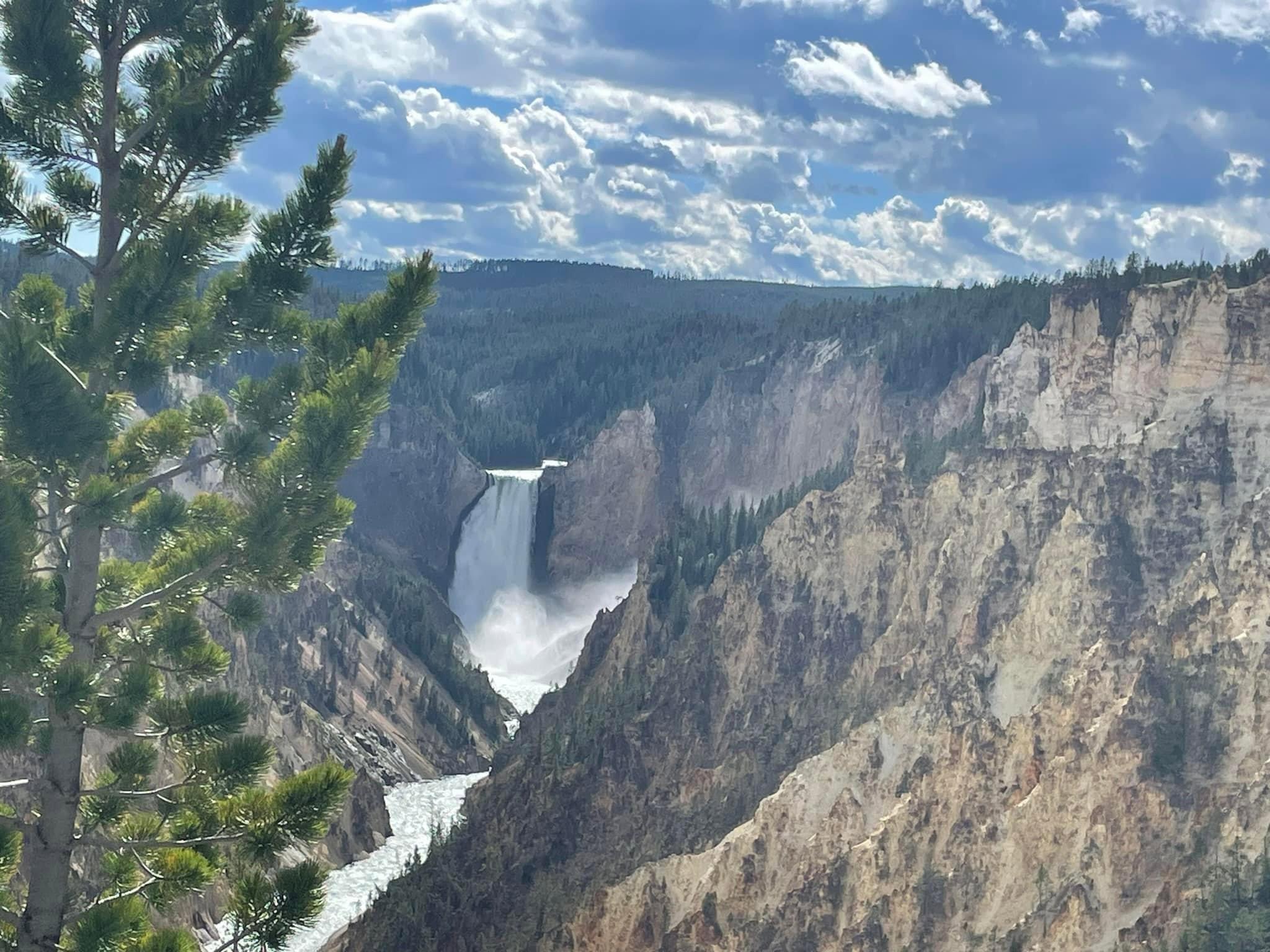 We just came back from a great trip to GTNP and YSNP!