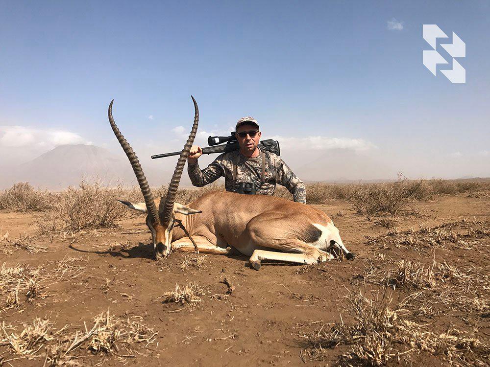 For true collectors 🌍 of African rarities: gerenuk, lesser kudu, Grant's gazelle, Thompson's gazelle, Patterson's eland and others ⤵️