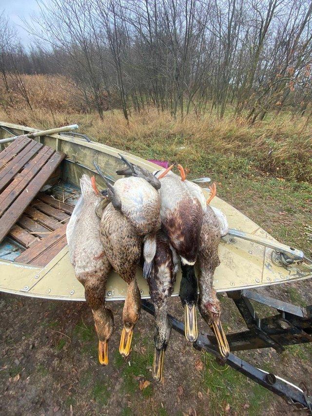 +1 день с охоты