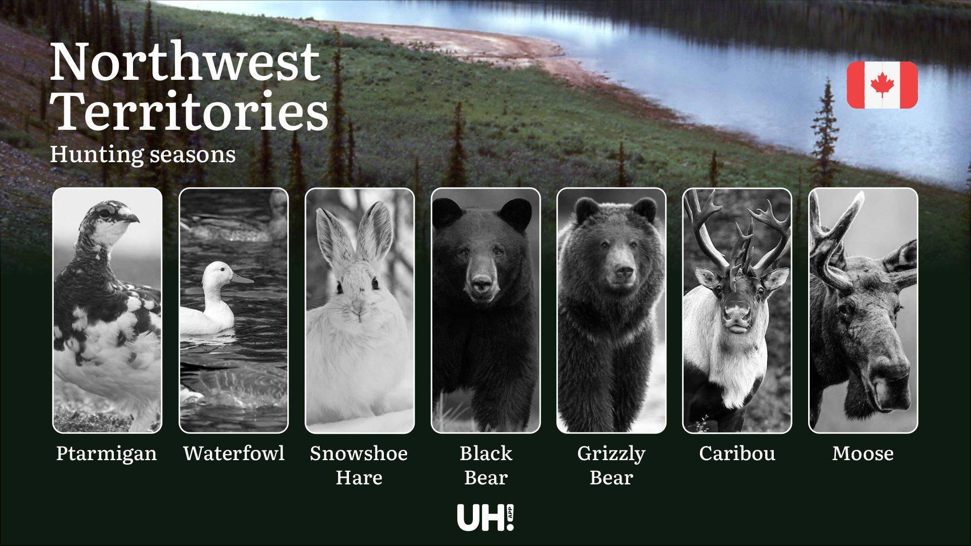 Hunting Seasons in NORTHWEST TERRITORIES (Canada): Key Dates, Vital Regulations & Licenses